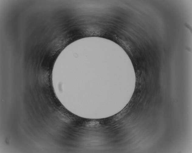 X0000091180162200709061001