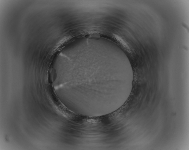X0000091180163200709061001
