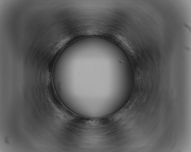 X0000091180164200709061001