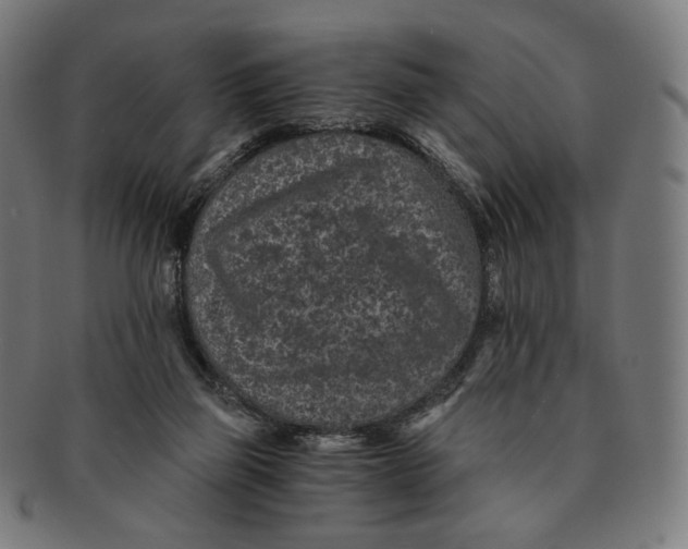 X0000091180165200709061001