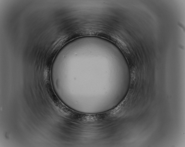 X0000091180166200709061001