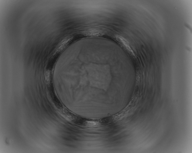 X0000091180167200709061001