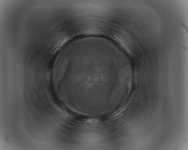 X0000091180168200709061001