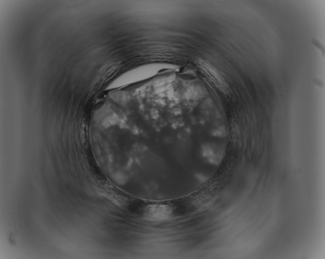 X0000091180169200709061001