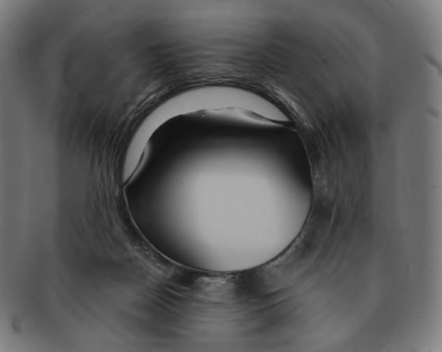 X0000091180170200709061001