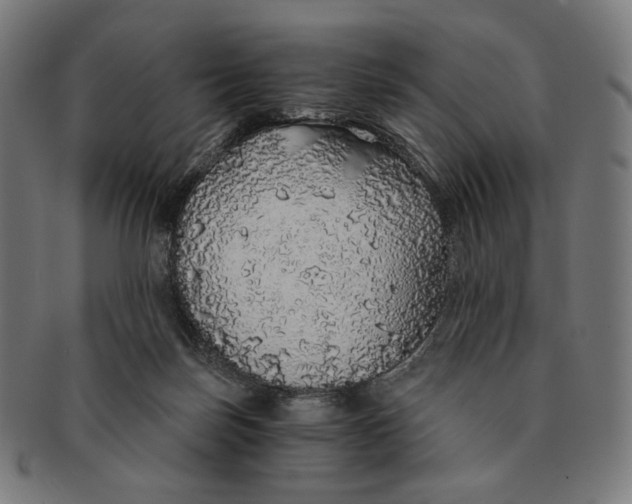 X0000091180171200709061001