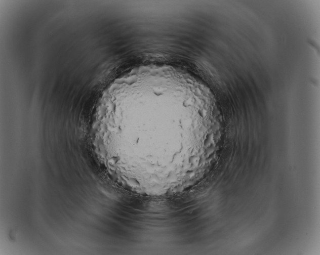 X0000091180173200709061001