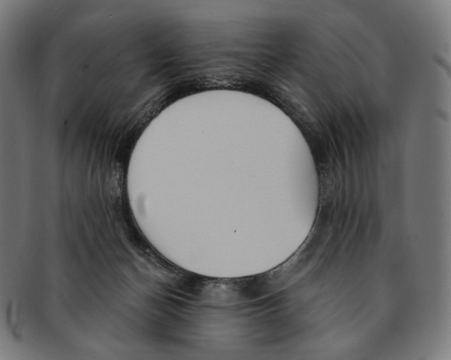 X0000091180174200709061001