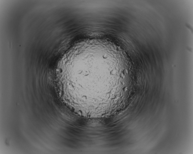 X0000091180175200709061001
