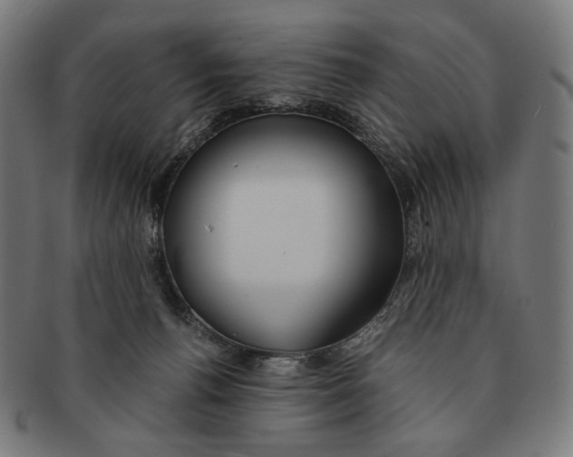 X0000091180176200709061001