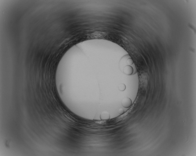 X0000091180178200709061001