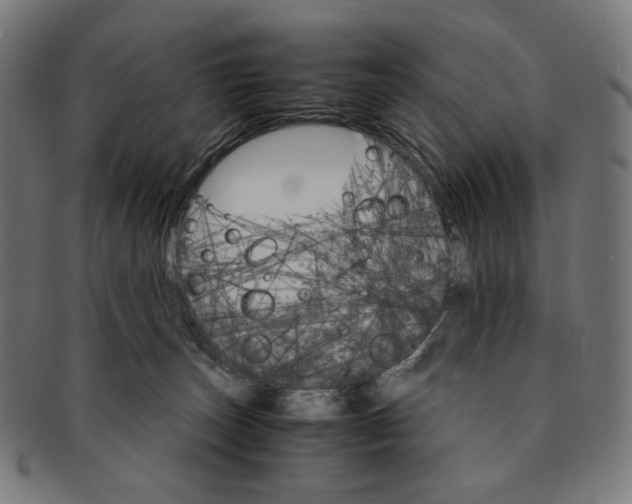 X0000091180179200709061001