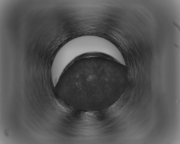 X0000091180180200709061001