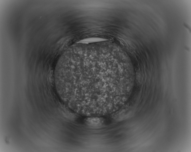 X0000091180181200709061001