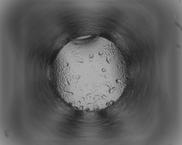 X0000091180185200709061001