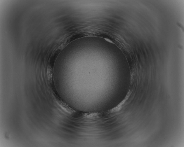 X0000091180186200709061001