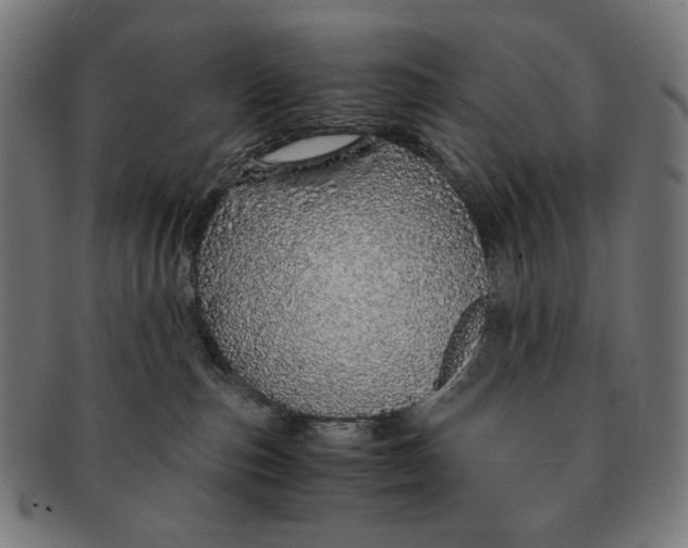 X0000091180187200709061001