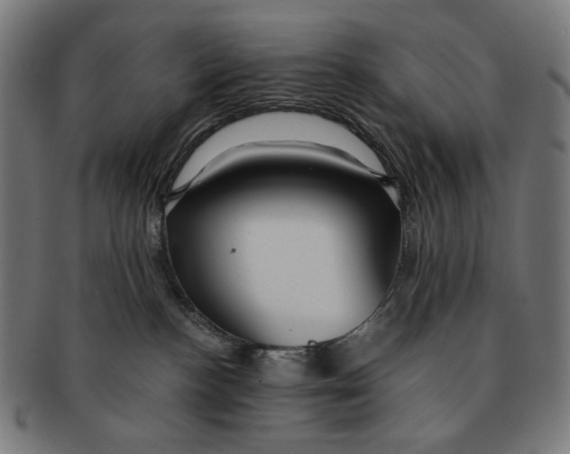 X0000091180188200709061001