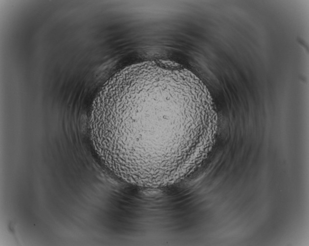 X0000091180189200709061001
