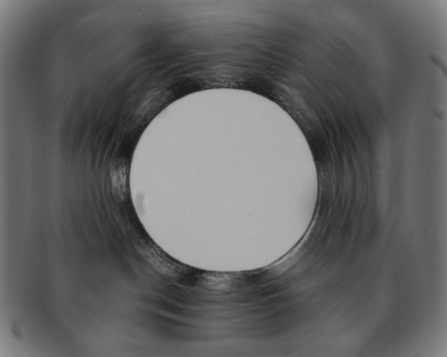 X0000091180190200709061001
