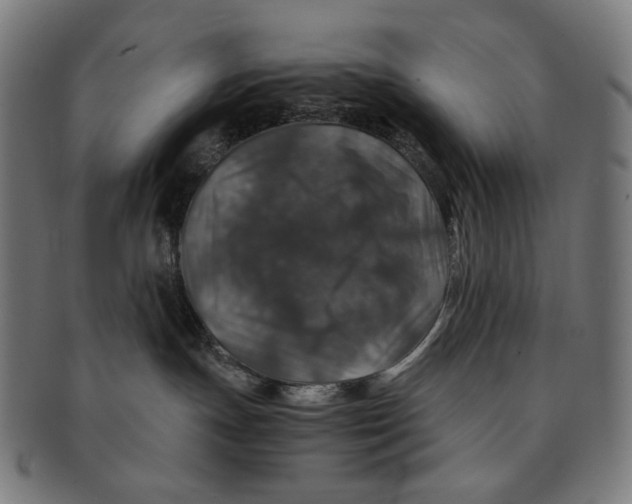 X0000091180191200709061001
