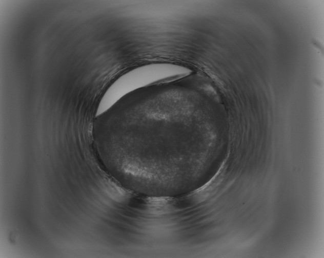 X0000091180192200709061001