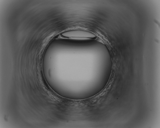 X0000091180193200709061000