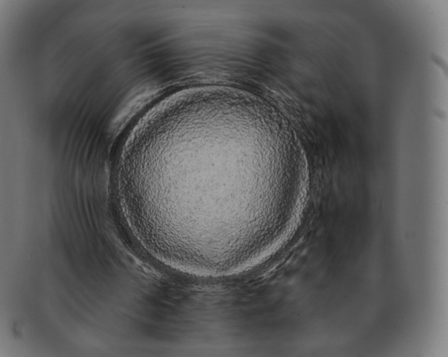 X0000091180194200709061000