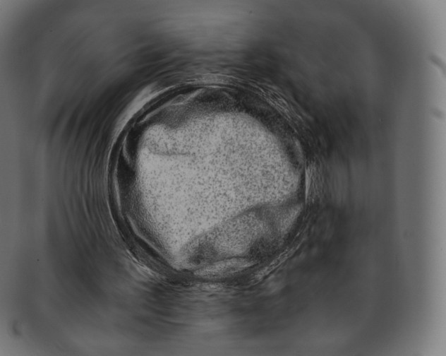 X0000091180195200709061000