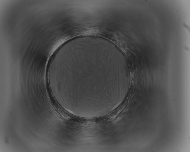 X0000091180196200709061000