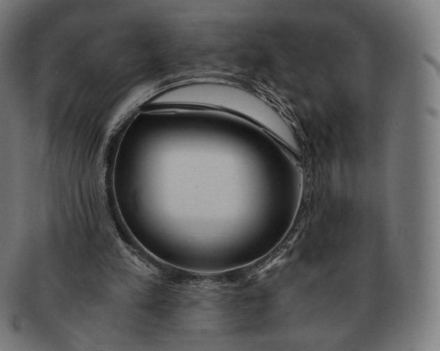 X0000091180197200709061000