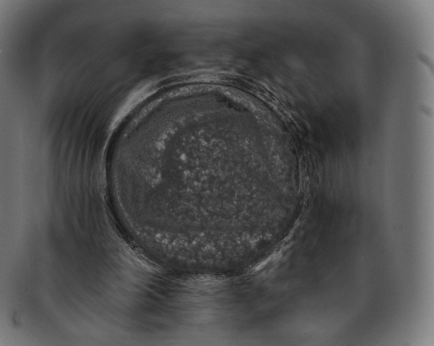 X0000091180198200709061000