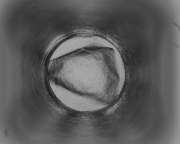 X0000091180199200709061000