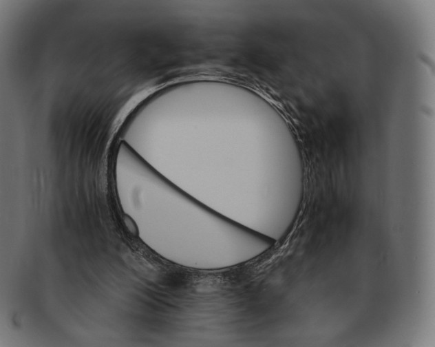 X0000091180200200709061000