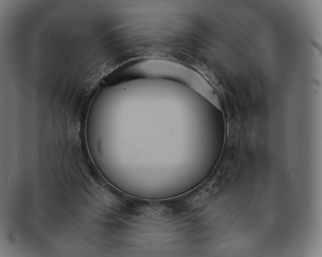 X0000091180201200709061000