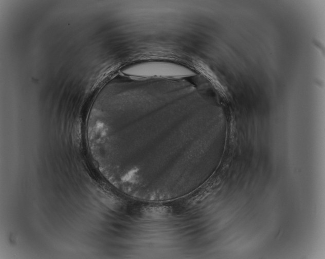 X0000091180202200709061000