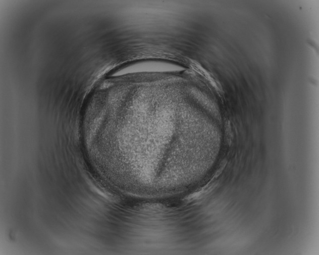 X0000091180203200709061000