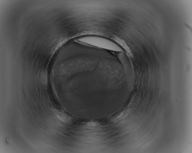 X0000091180204200709061000