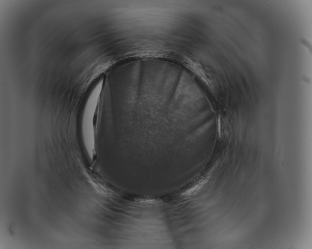 X0000091180205200709061000