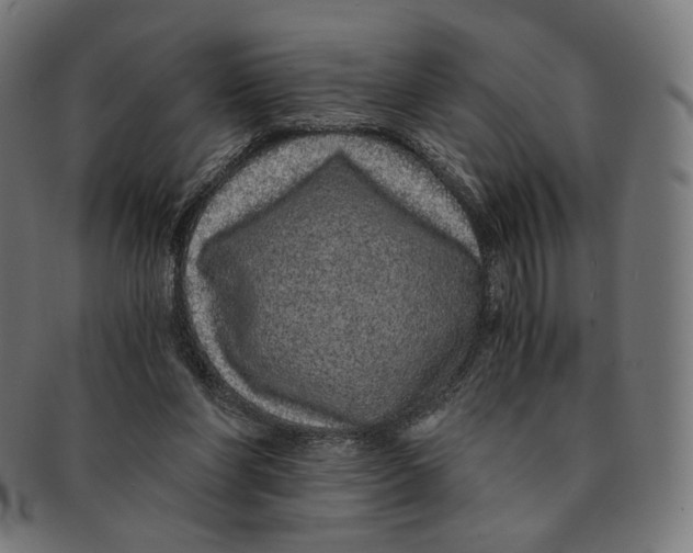 X0000091180206200709061000