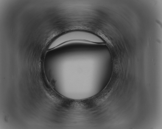 X0000091180207200709061000