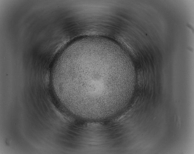 X0000091180208200709061000