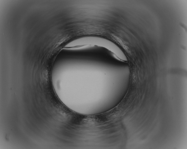 X0000091180211200709061000