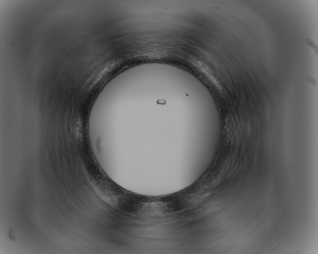 X0000091180212200709061000