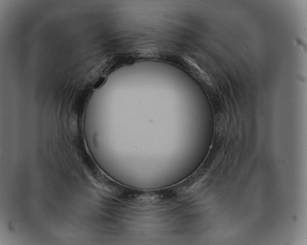 X0000091180213200709061000