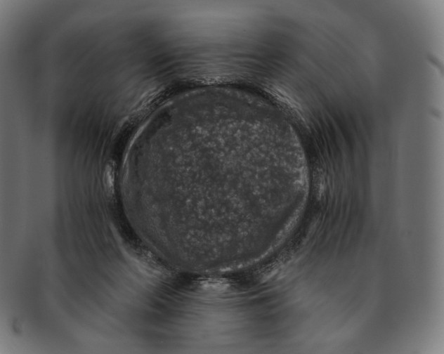 X0000091180214200709061000