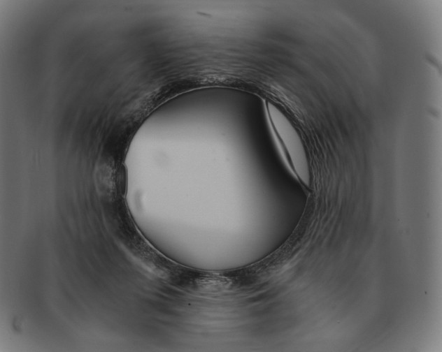 X0000091180215200709061000