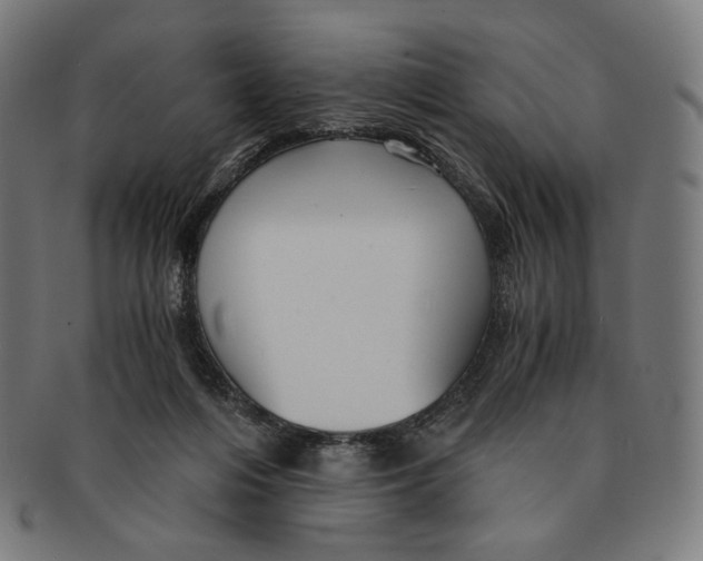 X0000091180216200709061000