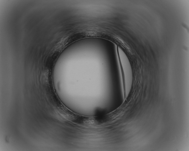 X0000091180217200709061000