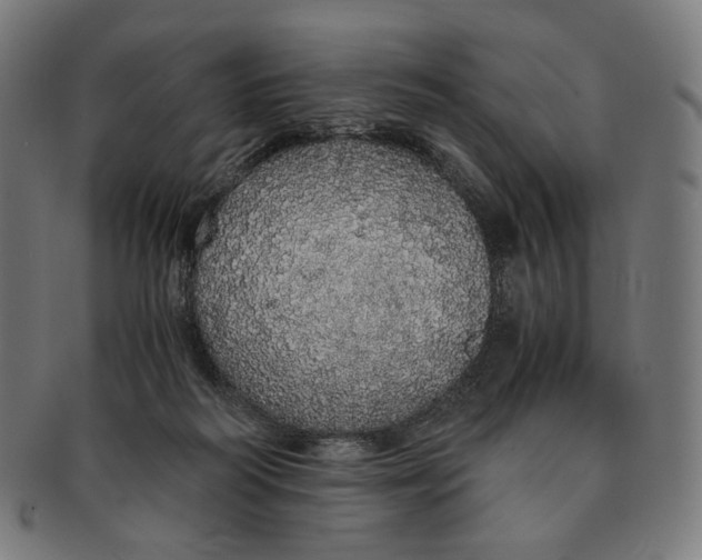 X0000091180218200709061000